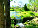 Park Pond Download Jigsaw Puzzle