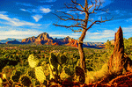 Landscape, Arizona Download Jigsaw Puzzle