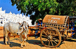 Taxi, Burma Download Jigsaw Puzzle