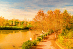 River Park Download Jigsaw Puzzle