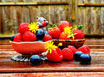 Fruit Download Jigsaw Puzzle