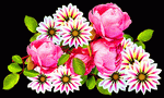 Flowers Download Jigsaw Puzzle