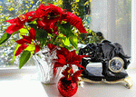 Poinsettia Download Jigsaw Puzzle