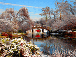 Winter Bridge Download Jigsaw Puzzle