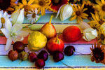 Fruit Download Jigsaw Puzzle