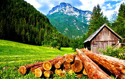 Alpine Cabin Download Jigsaw Puzzle