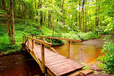 Bridge Download Jigsaw Puzzle