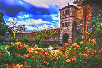 Flowers, Greece Download Jigsaw Puzzle