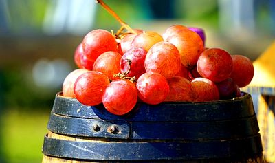 Grapes Download Jigsaw Puzzle