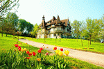 Flowers, France Download Jigsaw Puzzle