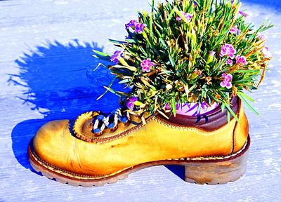 Shoe Planter Download Jigsaw Puzzle