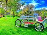 Carriage, Turkey Download Jigsaw Puzzle