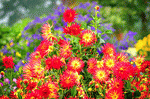 Flowers Download Jigsaw Puzzle