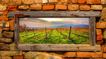 Vineyard Download Jigsaw Puzzle