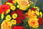 Flowers Download Jigsaw Puzzle