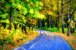 Forest Road Download Jigsaw Puzzle