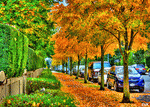 City Sidewalk Download Jigsaw Puzzle