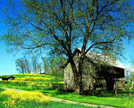 Hay Barn Download Jigsaw Puzzle