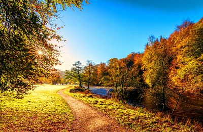 River, Yorkshire Download Jigsaw Puzzle