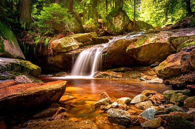 River, Germany Download Jigsaw Puzzle