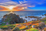 Seashore Download Jigsaw Puzzle