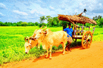 Cart, Sri Lanka Download Jigsaw Puzzle