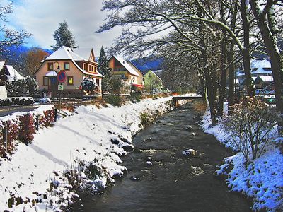 Stream, Black Forest Download Jigsaw Puzzle