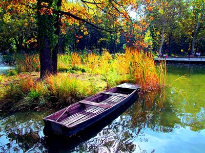 Boat Download Jigsaw Puzzle