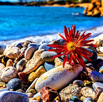 Seaside Rocks Download Jigsaw Puzzle