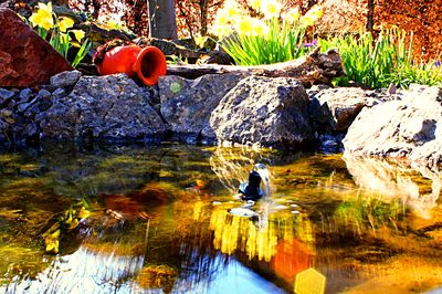 Pond, Germany Download Jigsaw Puzzle