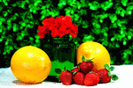 Fruit Download Jigsaw Puzzle