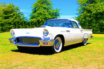 56 Thunderbird Download Jigsaw Puzzle