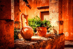 Plant, Crete Download Jigsaw Puzzle