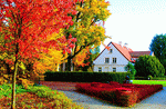 Autumn Trees Download Jigsaw Puzzle