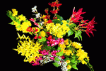 Flowers Download Jigsaw Puzzle