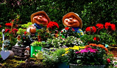 Flowers Download Jigsaw Puzzle