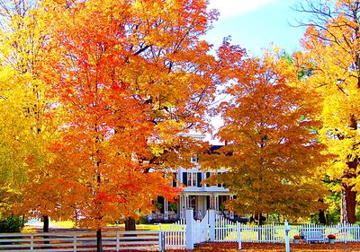 House, Autumn Download Jigsaw Puzzle