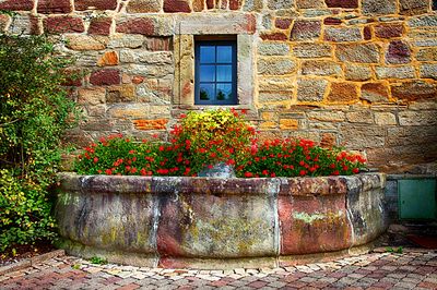 Flowers Download Jigsaw Puzzle