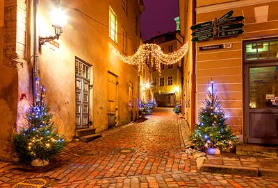 Christmas Trees, Tallinn Download Jigsaw Puzzle