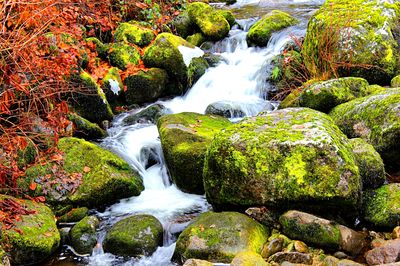 Stream, Germany Download Jigsaw Puzzle