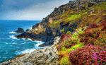 Coast, Cornwall Download Jigsaw Puzzle