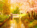 Stream, Amsterdam Download Jigsaw Puzzle