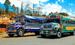 Buses, Guatemala Download Jigsaw Puzzle