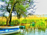 Boats Download Jigsaw Puzzle