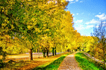 Park, Verona Download Jigsaw Puzzle