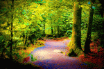 Forest Path Download Jigsaw Puzzle