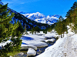 Winter, Pyrénées Download Jigsaw Puzzle