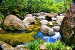 Mountain Stream Download Jigsaw Puzzle