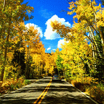 Road, Colorado Download Jigsaw Puzzle