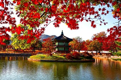 Hyang Garden, Korea Download Jigsaw Puzzle